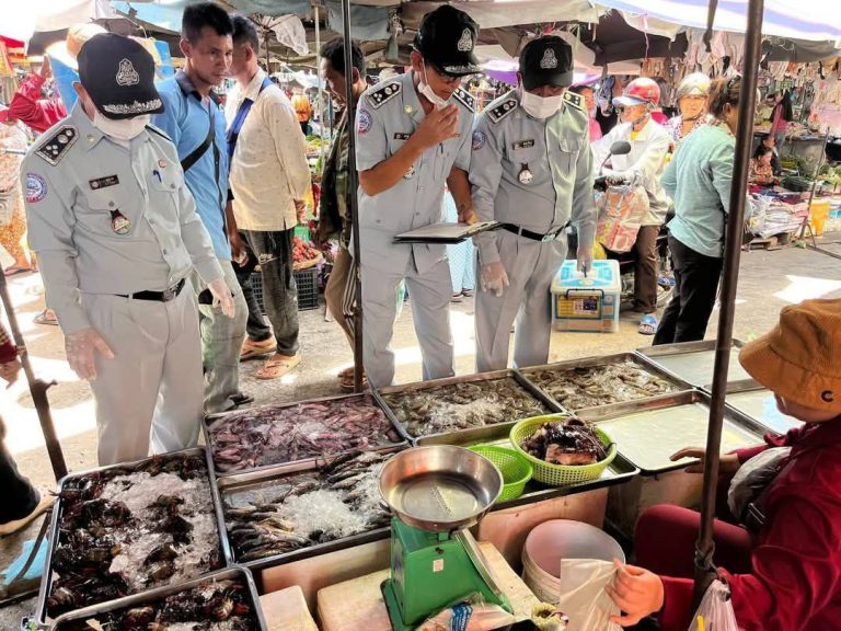 495515509_1257141576411473_8113976146595517_n