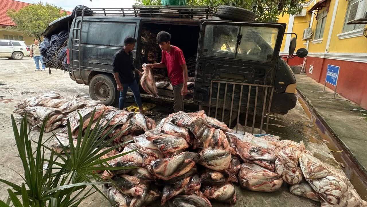 507156668_1286828833442747_8388789304102832268_n