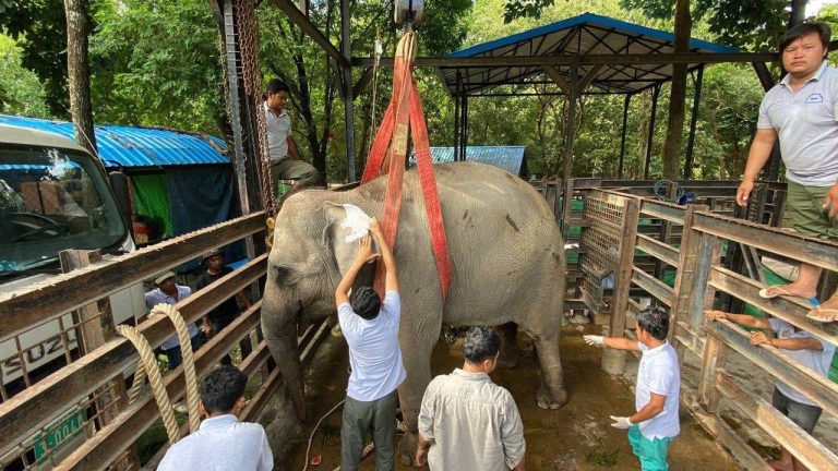 538230741_1161766602649336_4488571183128111854_n