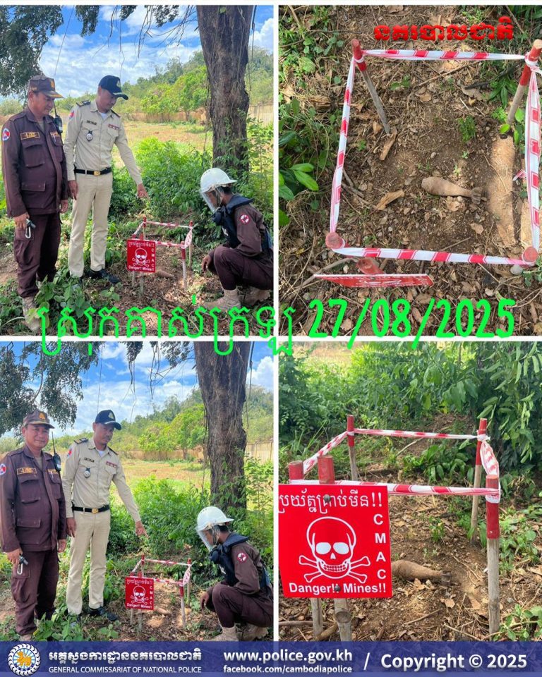 539137644_1342854837198371_5707456818944984851_n