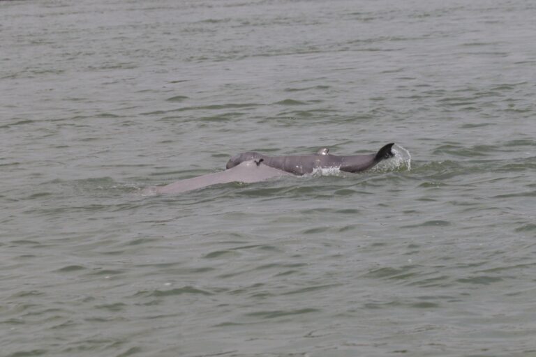 655834570_1410001944505768_6473279443486362815_n